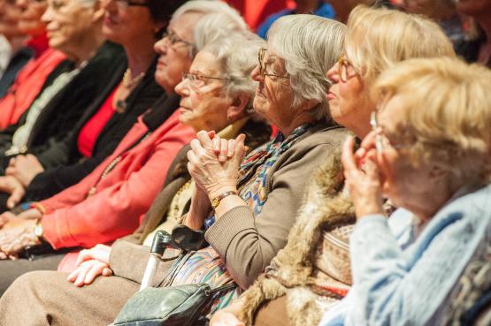 Afbeelding: gasten kijken naar een voorstelling.